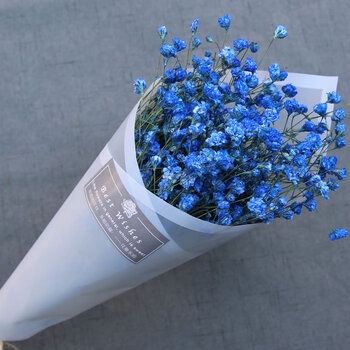 蓝色 满天星 干花包【图片 价格 品牌 报价】-京东