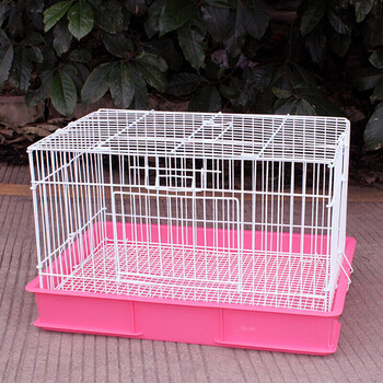 兔笼垂耳兔荷兰猪兔子笼子大号豚鼠用品防喷尿特大号养殖宠物饲养