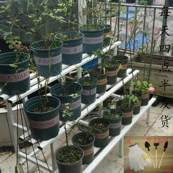 2018新品阳台客厅铁的艺多层不锈钢长方形落地花架绿萝花架多肉花架子