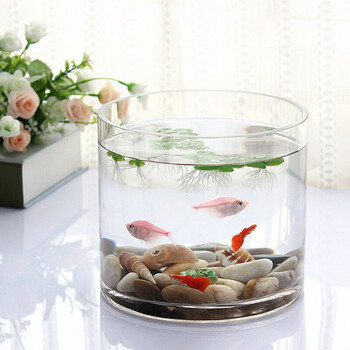 玻璃圆筒鱼缸 办公室桌面鱼缸 生态金鱼缸 加厚圆形鱼缸大号 中号圆筒