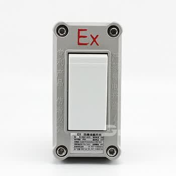 工业防爆开关 86型墙壁明装暗装单开双开三开 10a200v 照明开关 双开