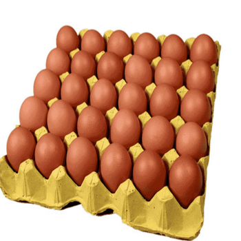 深圳餐饮专用 360红壳鲜鸡蛋大个 佳选粮油店