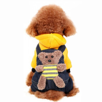 宠物圈-宠物鞋服,为爱宠带来时尚与实用