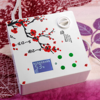 环鼎 单双人水暖毯 电热毯 水暖床垫电热水暖毯数显遥控智能恒温 NCM三人布1.6*1.8m