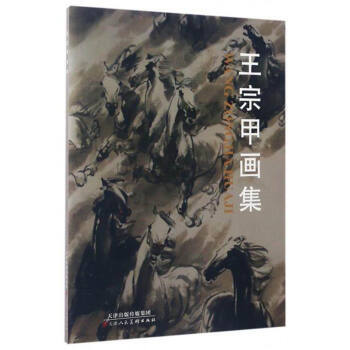 王宗甲画集 9787530577219