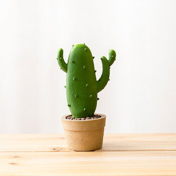 翻旧事 创意家居仿真仙人掌摆件室内客厅桌面小清新树脂工艺摆设 g款