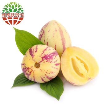 【商南扶贫馆】帆儿庄园 人生果(参)长生果新鲜水果 2.5kg长果