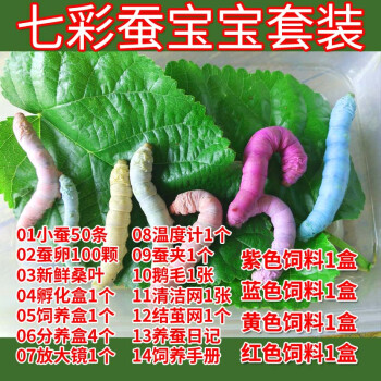 探索园艺辅材的奇妙世界,品牌推荐沃绣