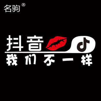 名驹 段子搞笑贴个性创意装饰抖音贴改装创意搞笑装饰贴纸 我们不一样