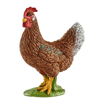 农场牲畜家禽宠物静态仿真动物模型儿童玩具 母鸡13826