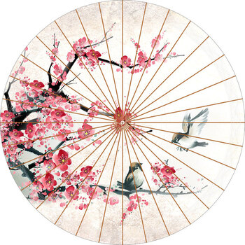 奥莱欧 油纸伞cos防雨江南古典传统桐油纸伞装饰吊顶伞 复古舞蹈伞