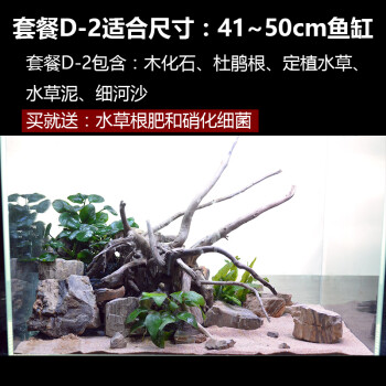 套餐生態草缸金魚缸懶人水草造景小型桌面 套餐d-2適合41-50cm魚缸