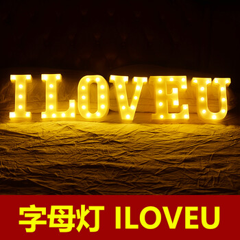 求婚求爱道具后备箱浪漫惊喜生日布置创意表白串灯 字母灯(iloveu)
