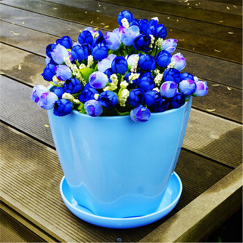 彩色塑料花卉盆栽通用花盆 水培花盆 绿萝多肉花盆 花瓣蓝色 特大号