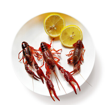 京鲜生【活鲜】鲜活江苏盱眙清水小龙虾1.5kg装 单只5-8钱