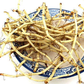 5kg 泥蒿根芦蒿根 湖北特产农家 新鲜蔬菜现挖xs0