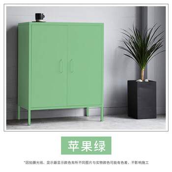 防生锈金属漆暖气片涂料铁门窗不锈钢翻新油漆耐候防腐氟碳漆 苹果绿