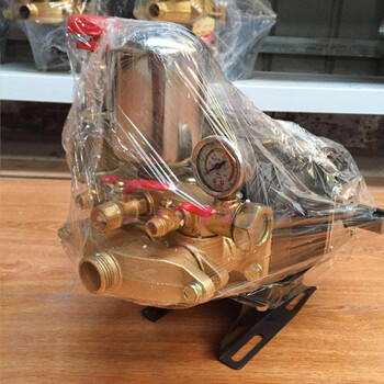 农用三缸柱塞泵高压清洗机农用车载打药泵高压喷雾器果树打药机 苏农