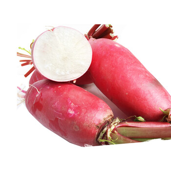 5kg 红皮白肉水萝卜 泡菜胭脂萝卜 2500g
