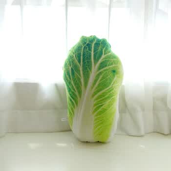 仿真蔬菜3d草莓水果抱枕靠垫家居沙发摆设恶搞礼物拍照道具 大白菜50