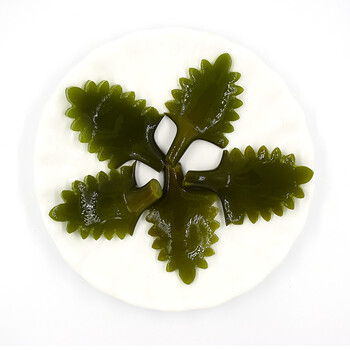 5kg 威海荣成 盐渍厚海带根花 新鲜 特产 海带花 根片昆布半干货 hpt