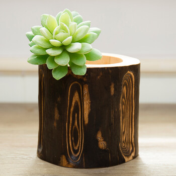 类似爱情 创意家居装饰摆件仿真植物火烧杉木笔筒工艺品 笔筒 多肉