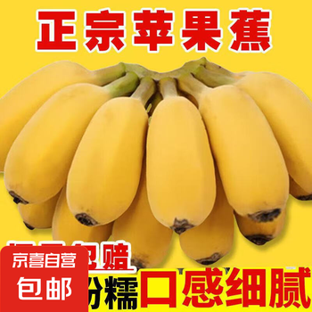 京喜 多喜啦 广西苹果蕉 3斤