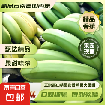 精品云南香蕉高山香蕉现摘新鲜水果甜生青香蕉banana自然熟绿皮 精品高山蕉 9斤
