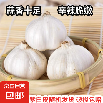 京喜 紫白皮蒜 国产水果大蒜 500g 单果3.5-5cm