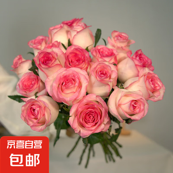 京喜 芭比多头玫瑰鲜花 10朵 橙色 艾莎玫瑰