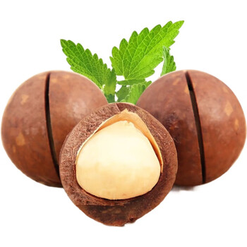 新货大颗粒夏威夷果  大颗奶香味坚果干果 夏威夷果袋装100g*6袋