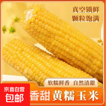 新鲜黄糯玉米真空包装速食玉米软糯香甜代餐140g-180g 6根装