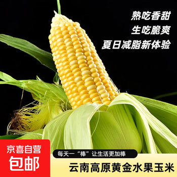 云南高原新鲜水果玉米起脆甜爆浆可生吃现采现发300g/棒营养早餐 水果玉米1.8-2斤含箱