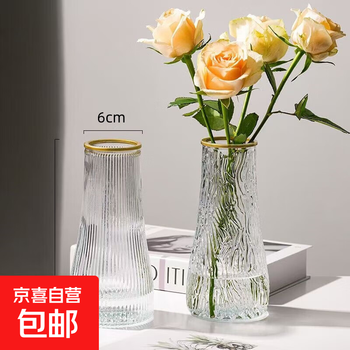 玻璃花瓶透明植物插花瓶水培容器大花瓶装饰客厅摆件 透明描金水波纹（17*5.5*8） 1个装