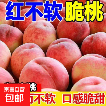 【红不软脆桃】现摘正宗陕西脆甜蜜桃新鲜水果毛桃沐驰活动专享 红不软带箱3斤