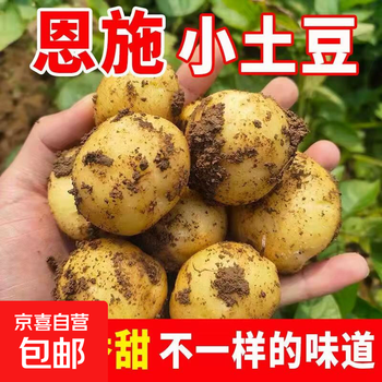 【富硒产区】恩施小土豆马铃薯新鲜高山农家迷你小洋芋【活动】 恩施小土豆两斤【鸡蛋大小,净重】