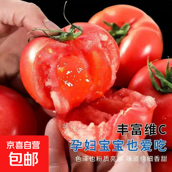 正宗沙瓤西红柿水果番茄自然熟新鲜蔬菜生鲜减肥 4斤 带箱