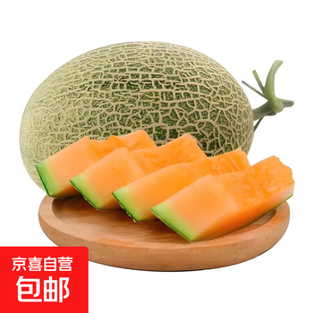 热带水果哈密瓜甜瓜产脆甜多汁香甜可口产地直发沙漠爆甜瓜 8-10斤聚会装（2-3个装） 源正达爆甜蜜瓜