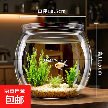 2026年3月6日更新【万能白菜价】的图片 第9张