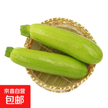 农家新鲜西葫芦农家自种蔬菜茭瓜新鲜现摘农场直发新鲜时令蔬菜 整箱2斤