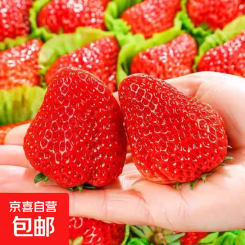 2025年12月04日更新【万能白菜价】