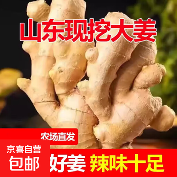 2026年1月115日更新【万能白菜价】的图片 第7张