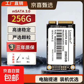 LOENKNSSD固态硬盘mSATA接口QLC颗粒台式机笔记本电脑pc高速游戏办公存储系统固体硬盘 mSATA接口-256G