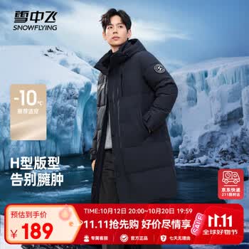 雪中飞秋冬东方简奢风时尚休闲舒适廓形男士“H”版型印花立领连帽羽绒