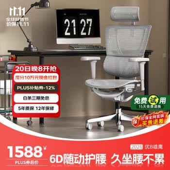 Ergonor保友优B雄鹰 人体工学椅电脑椅 久坐舒适办公椅电竞椅子 银白网