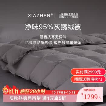 霞珍羽绒被95鹅绒被子 轻音保暖冬被双人被芯 超蓬95灰鹅绒-轻音无异味 保暖冬被-200*230cm 冬被
