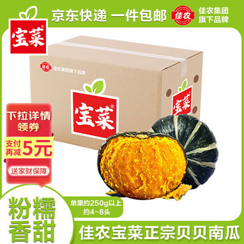 京鲜生 山东贝贝南瓜 净4.5斤