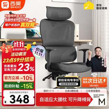 西昊 M56-101 人体工学电脑椅 黑色 固定扶手款