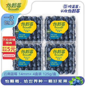 怡颗莓 云南蓝莓14mm+ 4盒装  约125g/盒 新鲜水果 源头直发