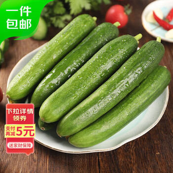 京百味 山东黄瓜新鲜 5.1斤